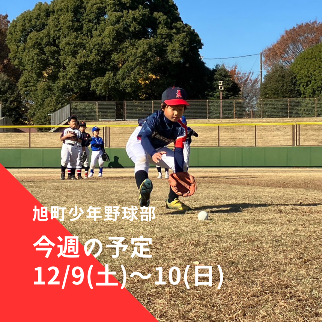 旭町少年野球部・旭町矢部四連合 今週の予定 | 2023年12月9日(土)～10日(日)