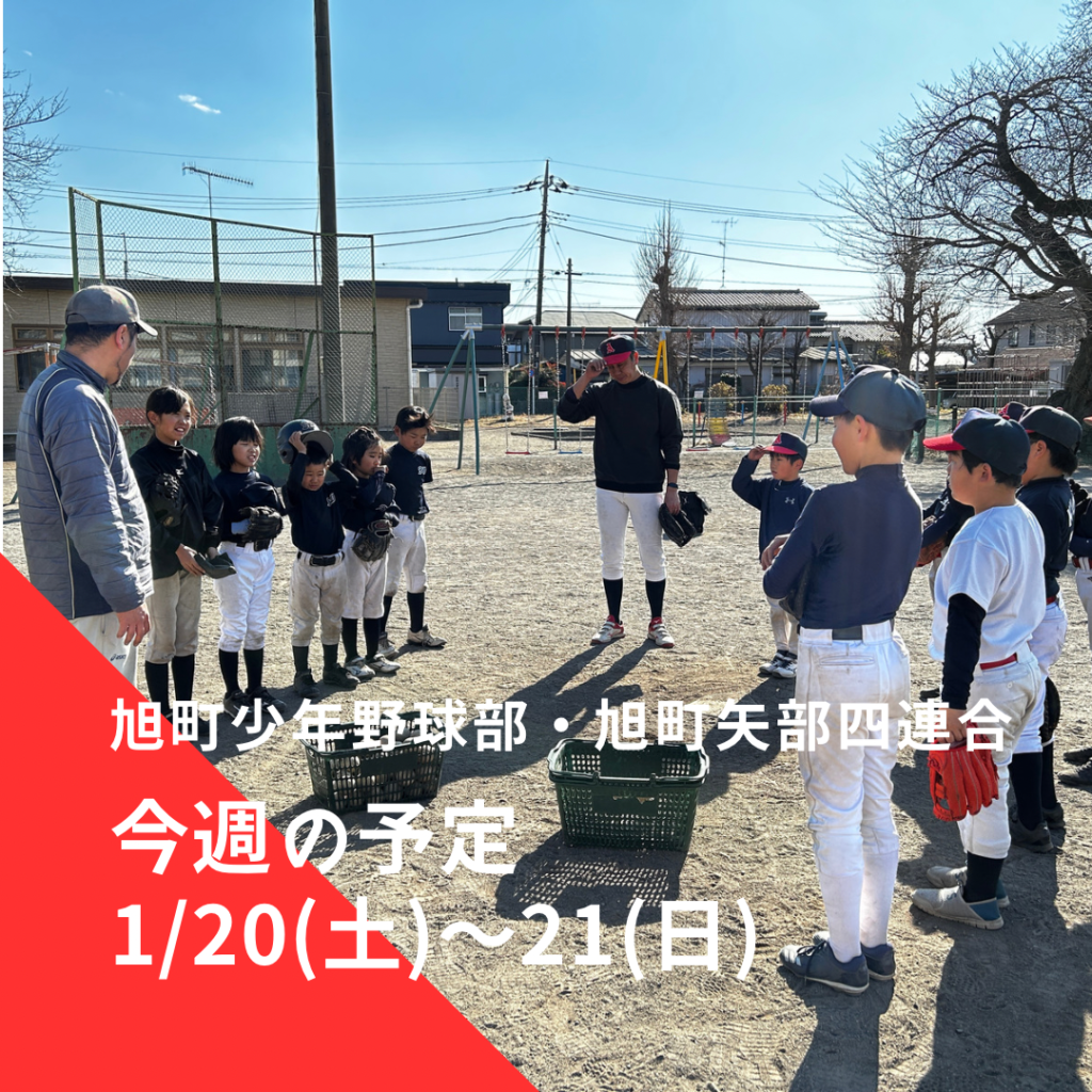 旭町少年野球部・旭町矢部四連合今週の予定 | 2024年1月20日(土)～21日(日)